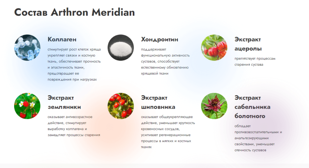 Состав Arthron Meridian